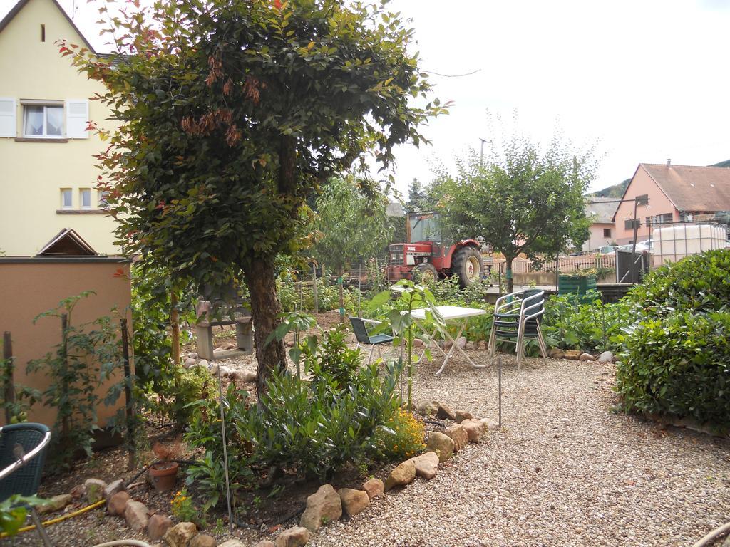 Rentz Martine Appartement Riquewihr Buitenkant foto